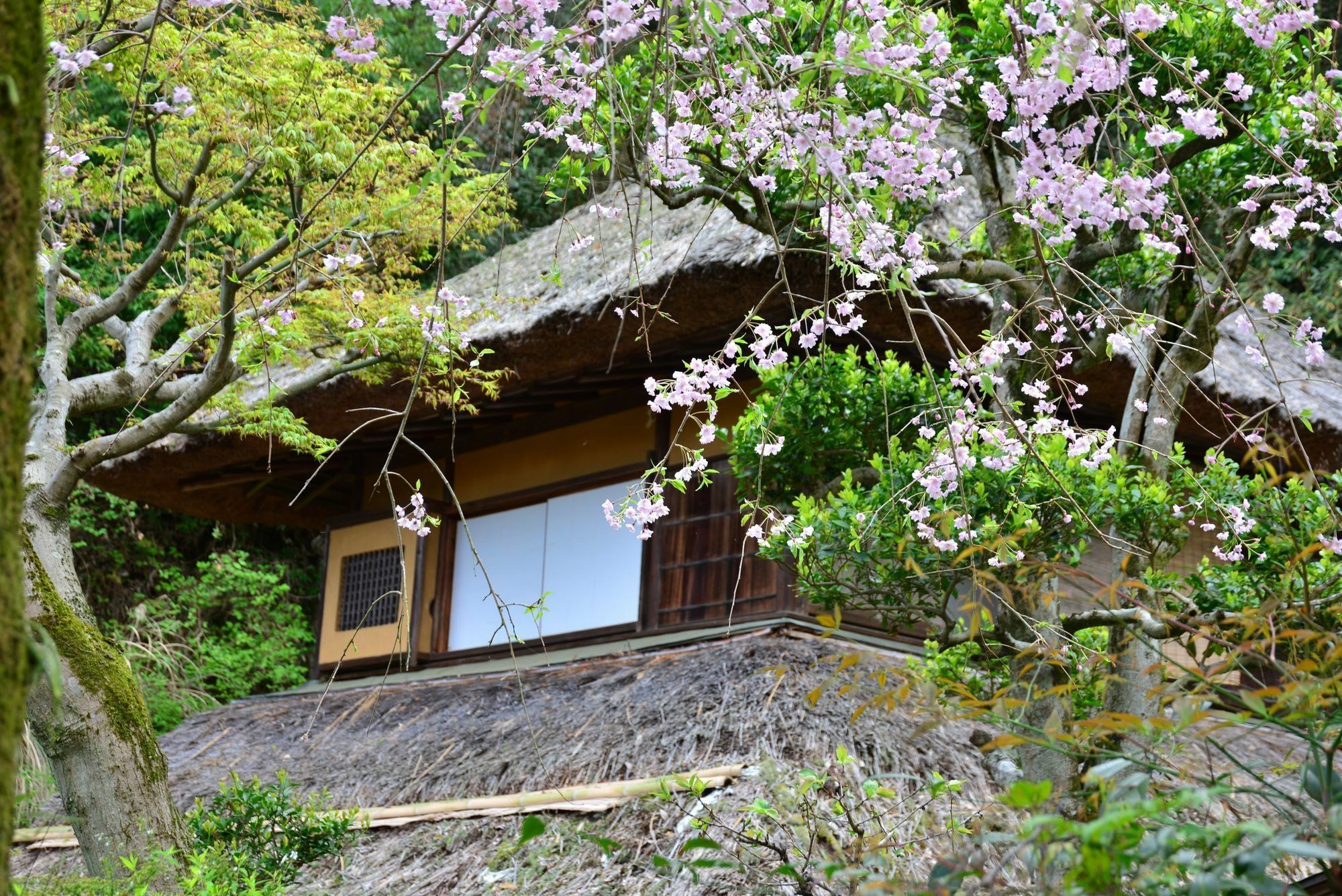 Hotel Kona Besso à Izunokuni Extérieur photo